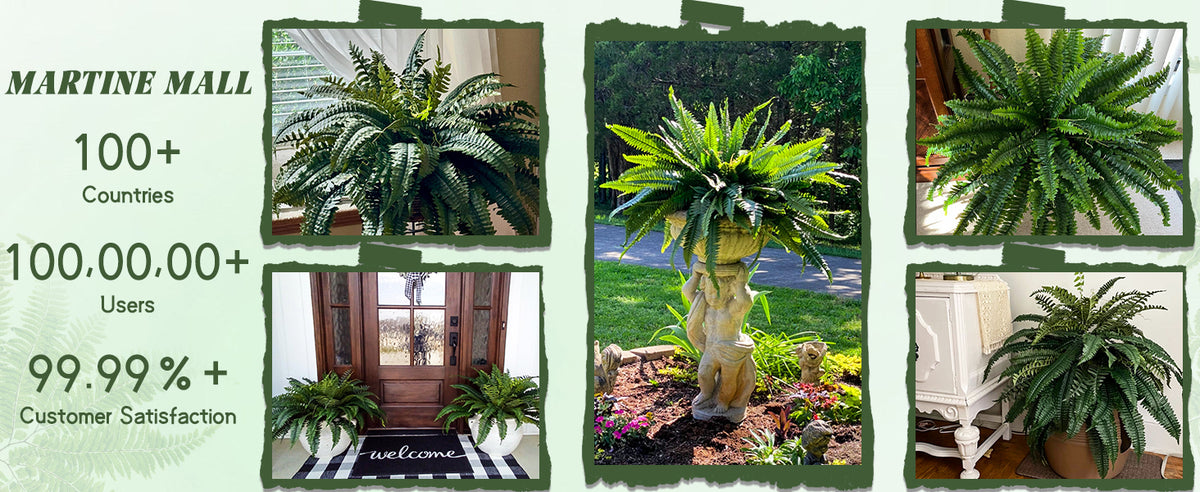 The Oasis Glow Fern by KissSteps™