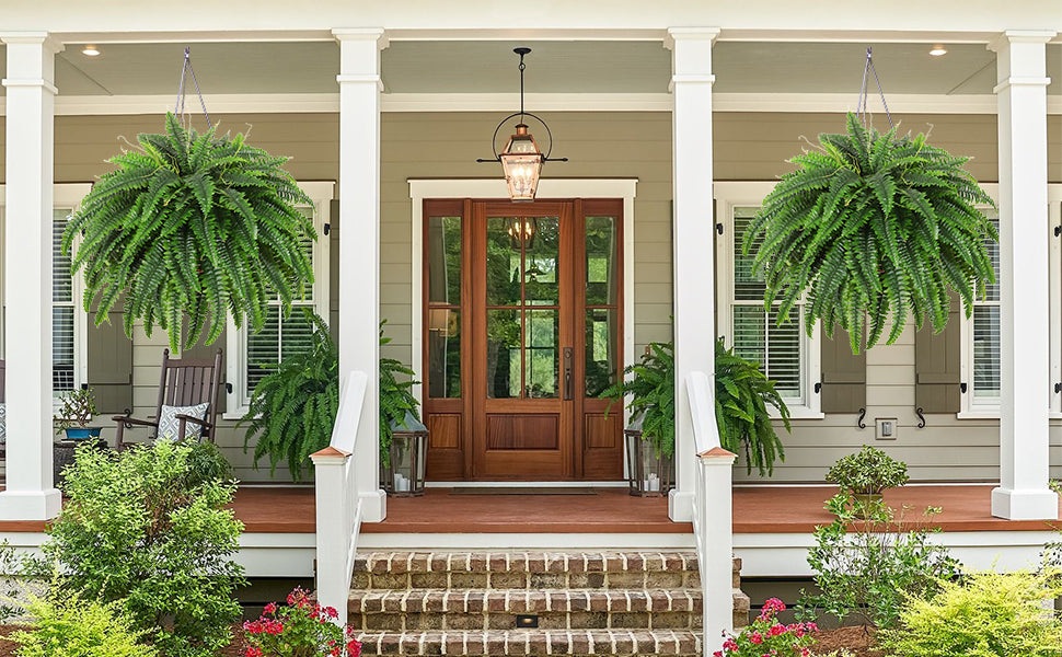 The Oasis Glow Fern by KissSteps™