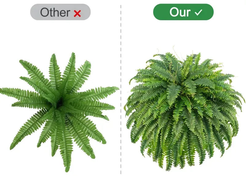 The Oasis Glow Fern by KissSteps™