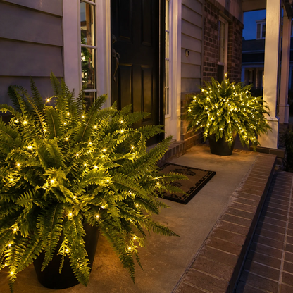 The Oasis Glow Fern by KissSteps™